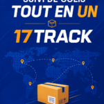 Capture d'écran de l'application 17TRACK montrant le suivi d'un colis.